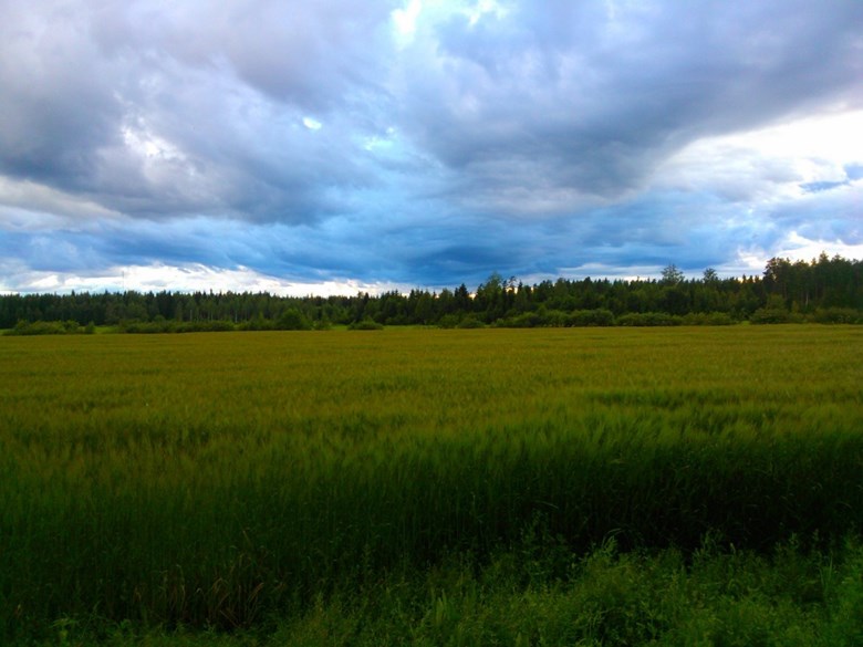 Ryhmäpuheenvuoro välikysymyskeskustelussa suomalaisen maatalouden kriisistä